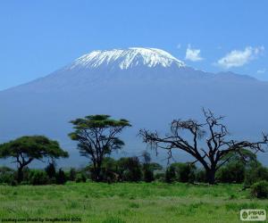пазл Килиманджаро, Танзания
